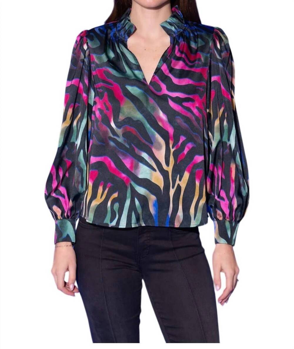 NEW ALDEN ADAIR prism zebra phoebe top in multi